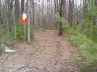 P1010343.JPG (736649 bytes)