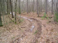 P1010344.JPG (727394 bytes)