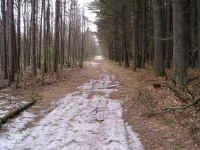 P1010346.JPG (711574 bytes)