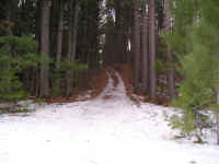 P1010347.JPG (624278 bytes)