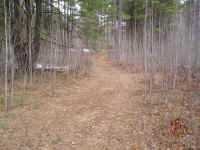 P1010348.JPG (717761 bytes)