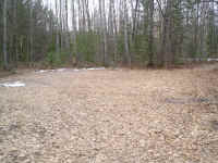 P1010350.JPG (730840 bytes)