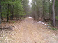 P1010351.JPG (719785 bytes)