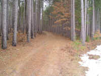 P1010352.JPG (690860 bytes)