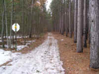 P1010353.JPG (712441 bytes)