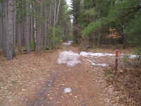 P1010354.JPG (713078 bytes)