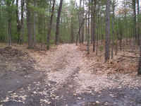 P1010358.JPG (738424 bytes)