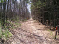 P1010369.JPG (736170 bytes)