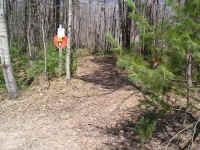 P1010370.JPG (741853 bytes)