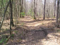 P1010371.JPG (743591 bytes)