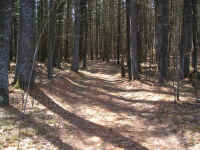 P1010372.JPG (720574 bytes)