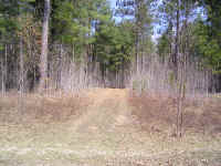 P1010374.JPG (736267 bytes)