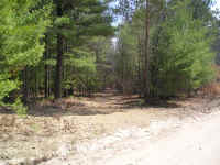 P1010377.JPG (705695 bytes)