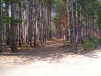 P1010378.JPG (703899 bytes)