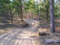 P1010381.JPG (738068 bytes)