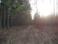 P1010405.JPG (671123 bytes)