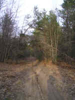 P1010406.JPG (692685 bytes)