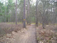 P1010408.JPG (684849 bytes)