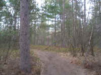 P1010409.JPG (674869 bytes)