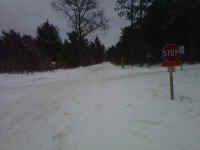 American_Oak_Trail_Report_12211302.jpg (309018 bytes)