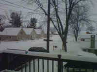 American_Oak_Trail_Report_12211303.jpg (525233 bytes)