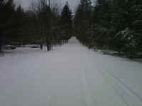 American_Oak_Trail_Report_12211307.jpg (340250 bytes)