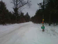 American_Oak_Trail_Report_12211309.jpg (372844 bytes)