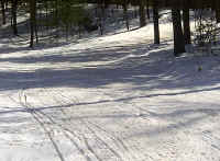 0308201305.jpg (129635 bytes)