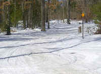 0308201306.jpg (118498 bytes)