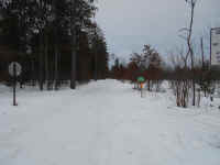 Houghton_Lake_Trail_02211410.JPG (490856 bytes)