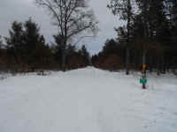 Houghton_Lake_Trail_02211411.JPG (474116 bytes)