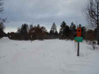 Houghton_Lake_Trail_02211412.JPG (454713 bytes)