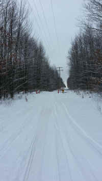 Houghton_Lake_Trail_01171401.jpg (429592 bytes)