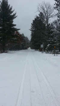 Houghton_Lake_Trail_01171405.jpg (360879 bytes)