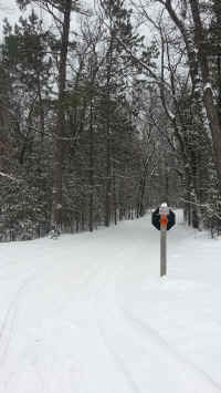 Houghton_Lake_Trail_01171407.jpg (540363 bytes)