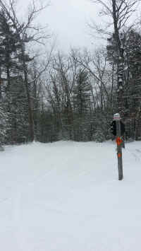 Houghton_Lake_Trail_01171408.jpg (469438 bytes)