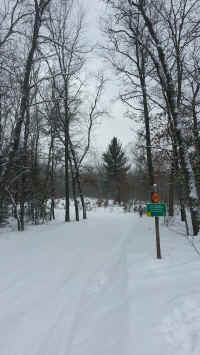 Houghton_Lake_Trail_01171409.jpg (554794 bytes)