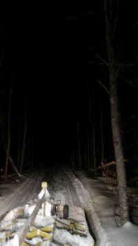 Houghton_Lake_Trail_01211309.jpg (194382 bytes)