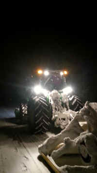 Houghton_Lake_Trail_01231406.jpg (261691 bytes)