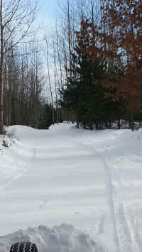 Houghton_Lake_Trail_01271404.jpg (340103 bytes)