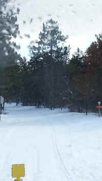 Houghton_Lake_Trail_01271405.jpg (249424 bytes)