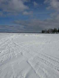 American_Oak-Resort_Trail_Feb042015_01.jpg (1880439 bytes)