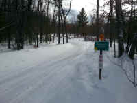 American_Oak-Resort_Trail_Feb042015_05.jpg (2839459 bytes)