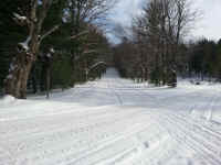 American_Oak-Resort_Trail_Feb042015_07.jpg (3037798 bytes)