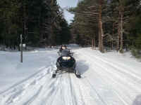 American_Oak-Resort_Trail_Feb042015_09.jpg (2852860 bytes)