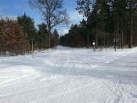 American_Oak-Resort_Trail_Feb042015_11.jpg (3041563 bytes)