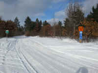 American_Oak-Resort_Trail_Feb042015_12.jpg (2632238 bytes)