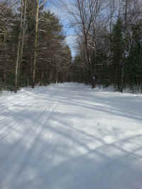 American_Oak-Resort_Trail_Feb042015_15.jpg (3010251 bytes)