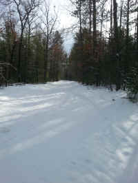 American_Oak-Resort_Trail_Feb042015_16.jpg (3063779 bytes)