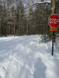 American_Oak-Resort_Trail_Feb042015_18.jpg (2859236 bytes)